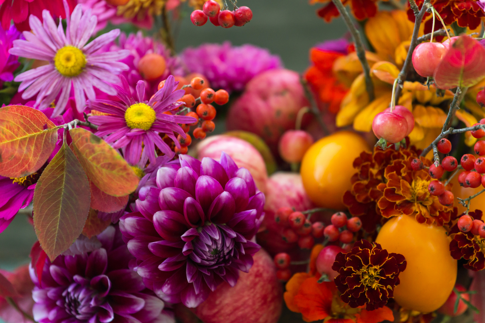 The 22 Best Fall Flowers For Your Garden