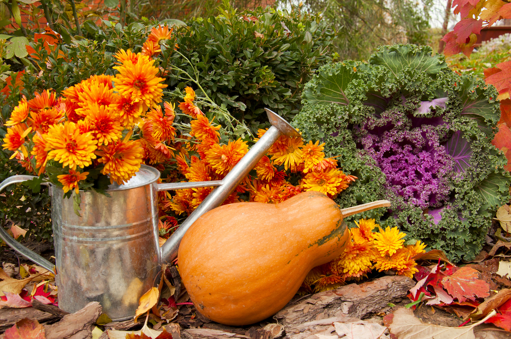 Is A Fall Garden Worth It?