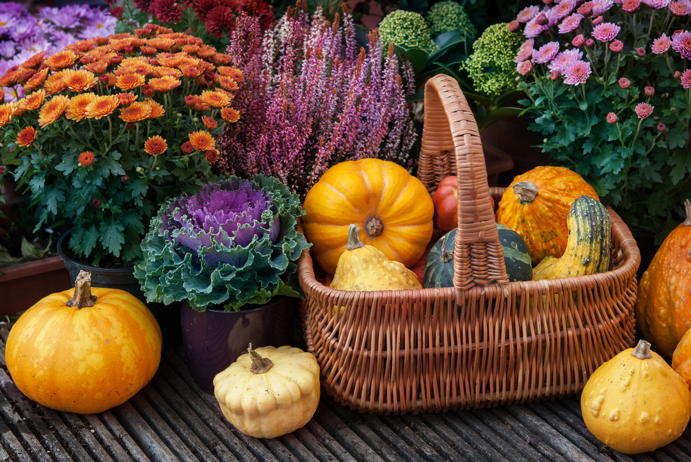 7 Benefits Of A Fall Garden