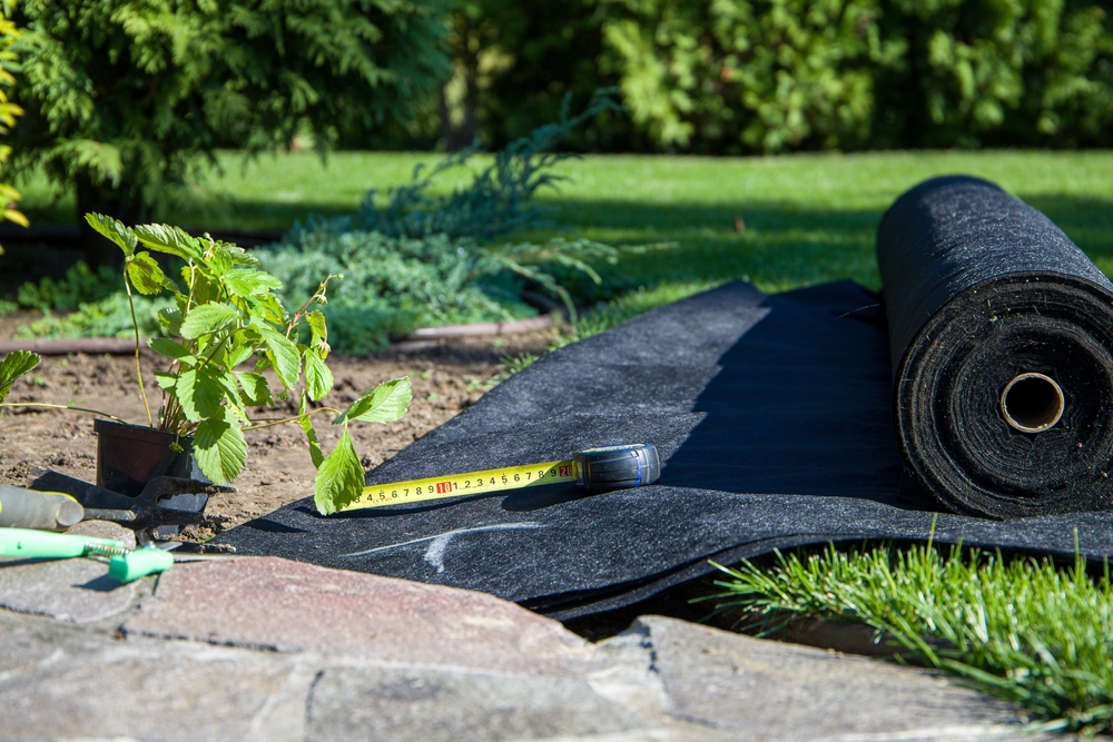 A roll of landscape fabric next to a plant and some tools.