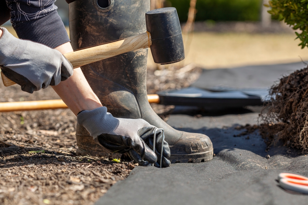 All The Pros And Cons Of Landscape Fabric