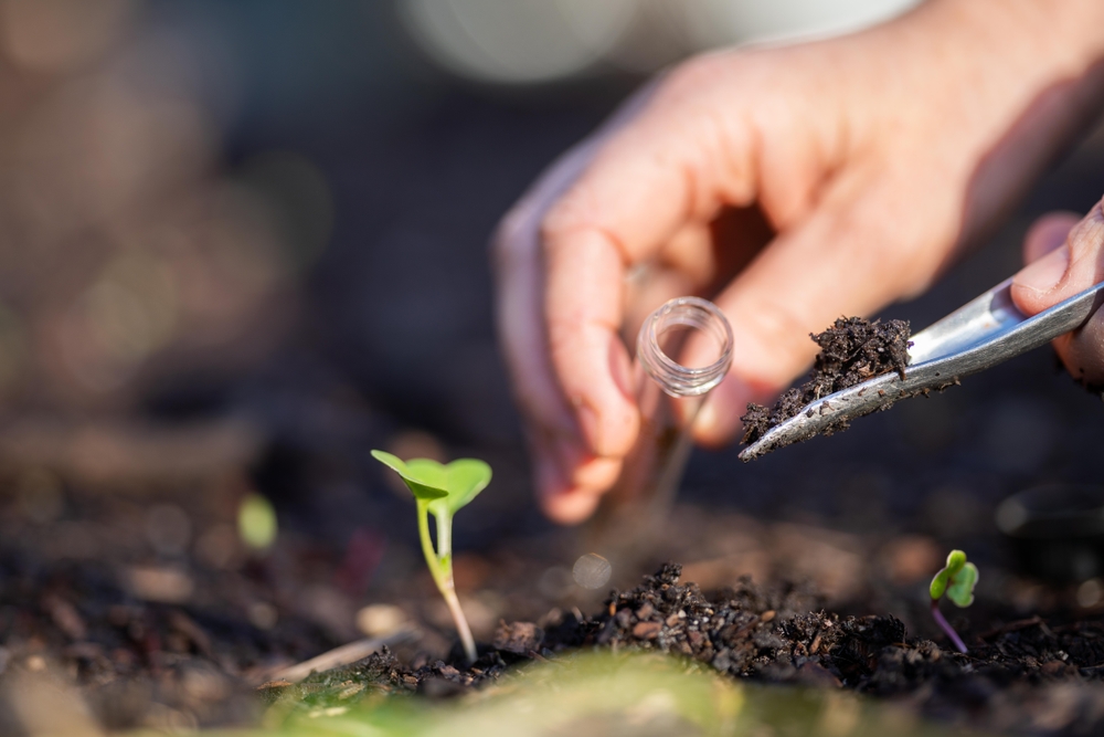 A closeup shot of someone's hands collecting soil with a garden trowel, which they're about to put into a vial.