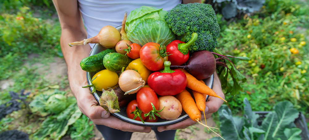 A person holding a bowl of various vegetables, such as carrots, onions, and broccoli.