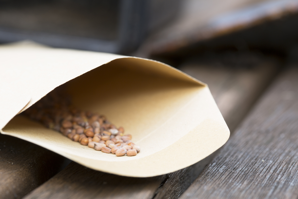 A closeup of an open seed packet on a wooden table.
