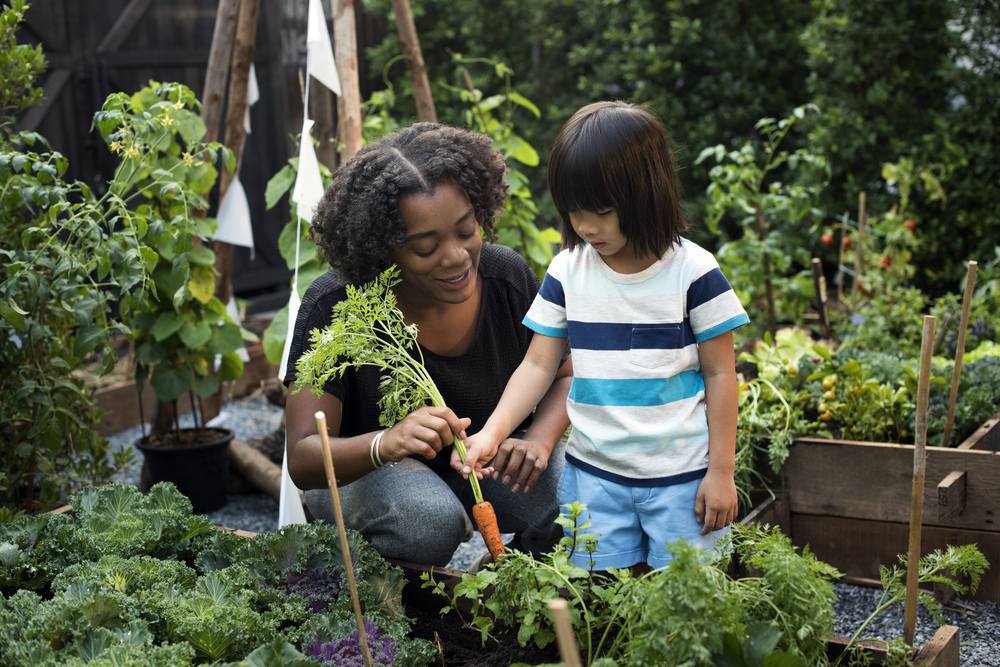 A woman helping a child with a carrot from a garden.