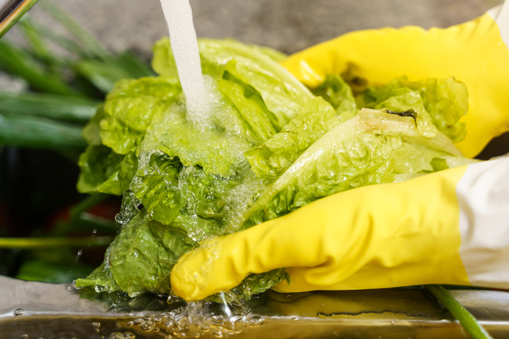 How To Clean Your Garden Vegetables So They’re Safe To Eat