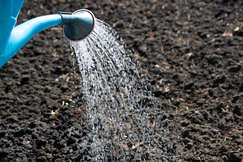 A watering can watering the soil.