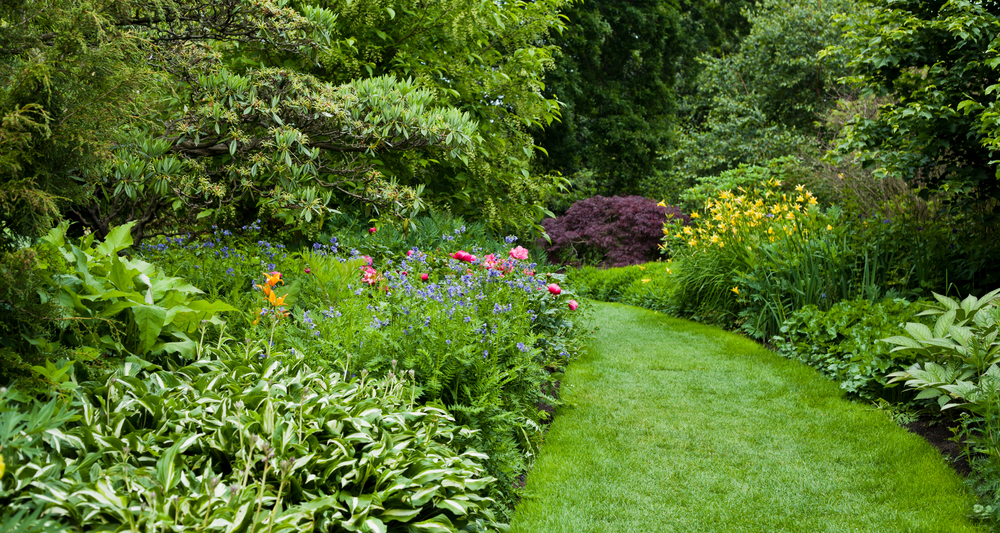 A botanical garden with lots of plants around a pathway.
