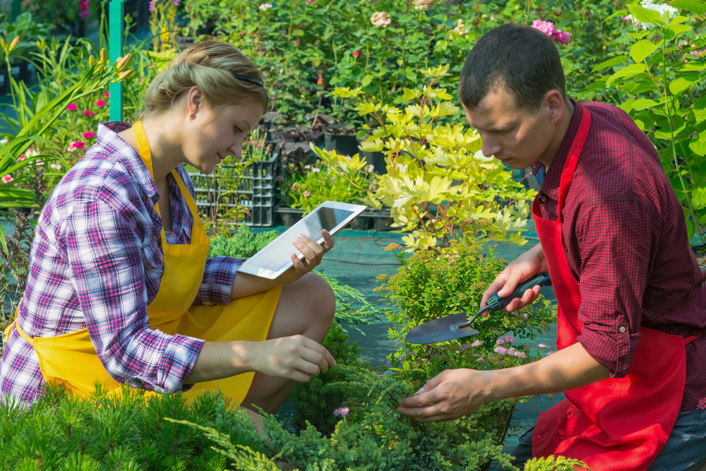 A couple taking care of their garden and keeping record of it on a tablet.