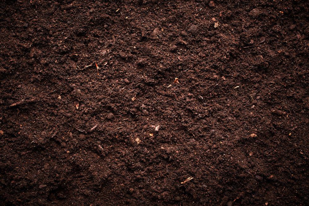 How To Build The Ideal Soil For Your Plants: Step-By-Step