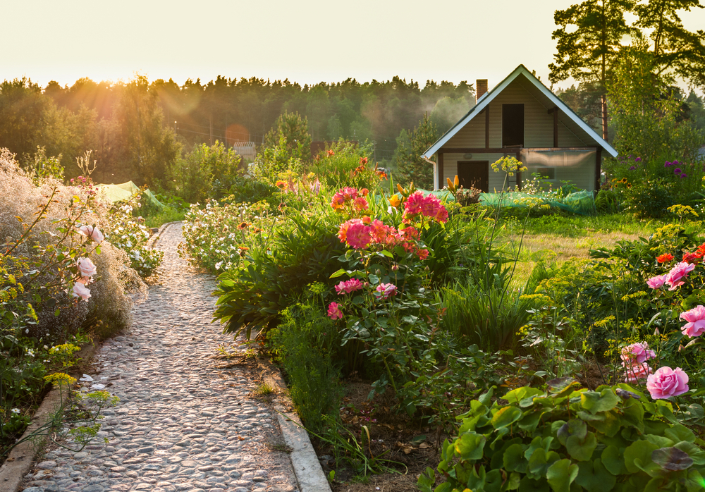 A walking road running through a garden on a hill on a sunny day.