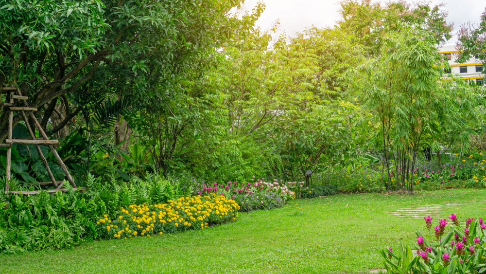 Sunlight pouring into backyard with a garden.