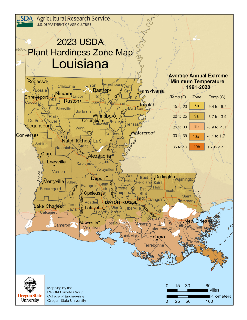 2023 USDA plant hardiness zones map information for Louisiana.