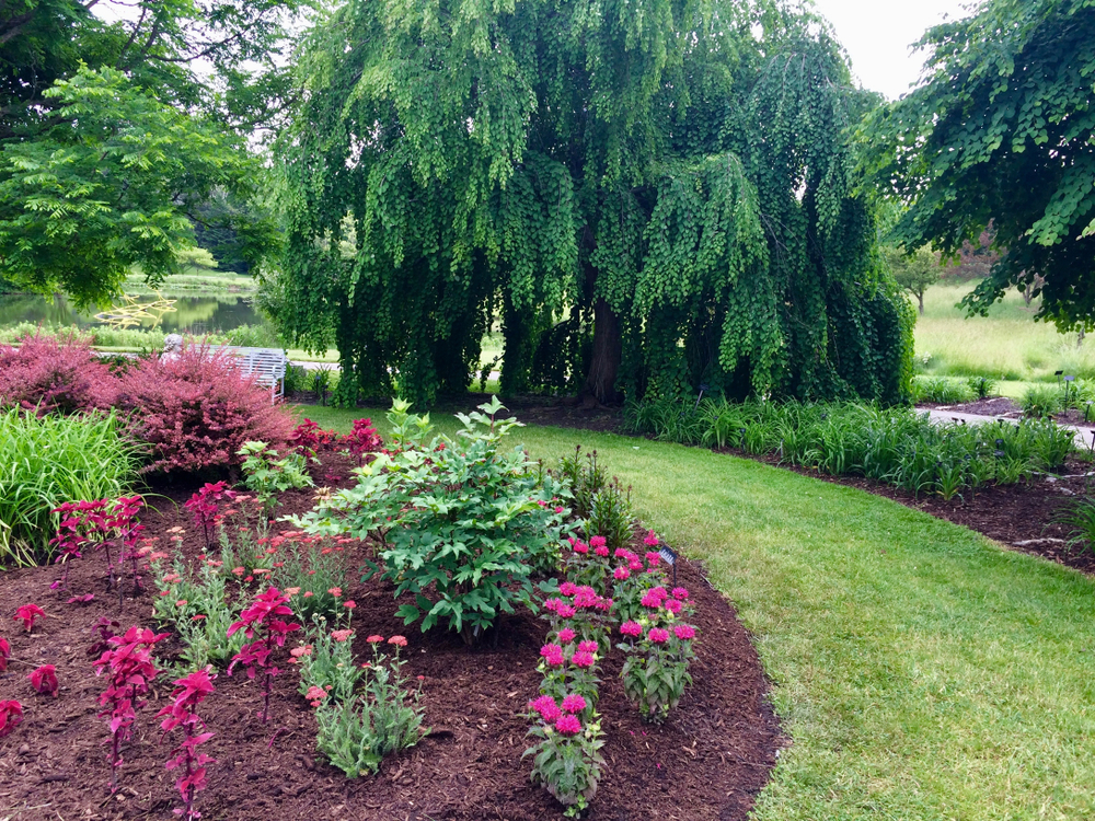 A grass path leading through a beautiful garden with trees and flowers.