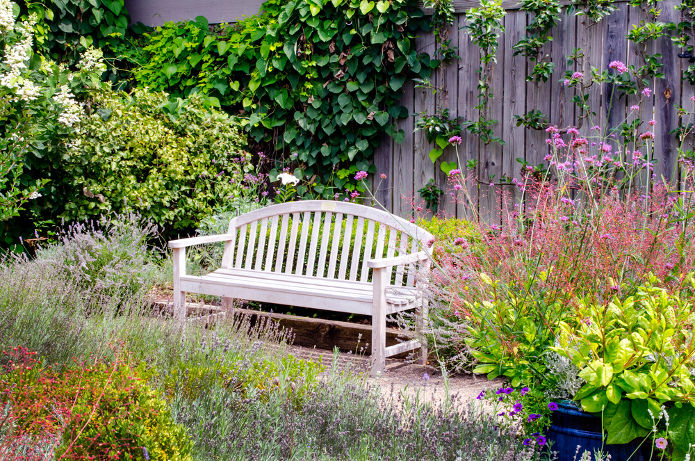 A park bench by a fence surrounded by flowers.